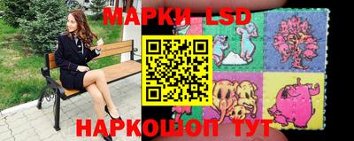 сатива Будённовск