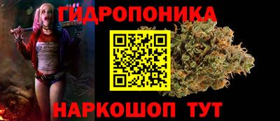 крисы Бузулук