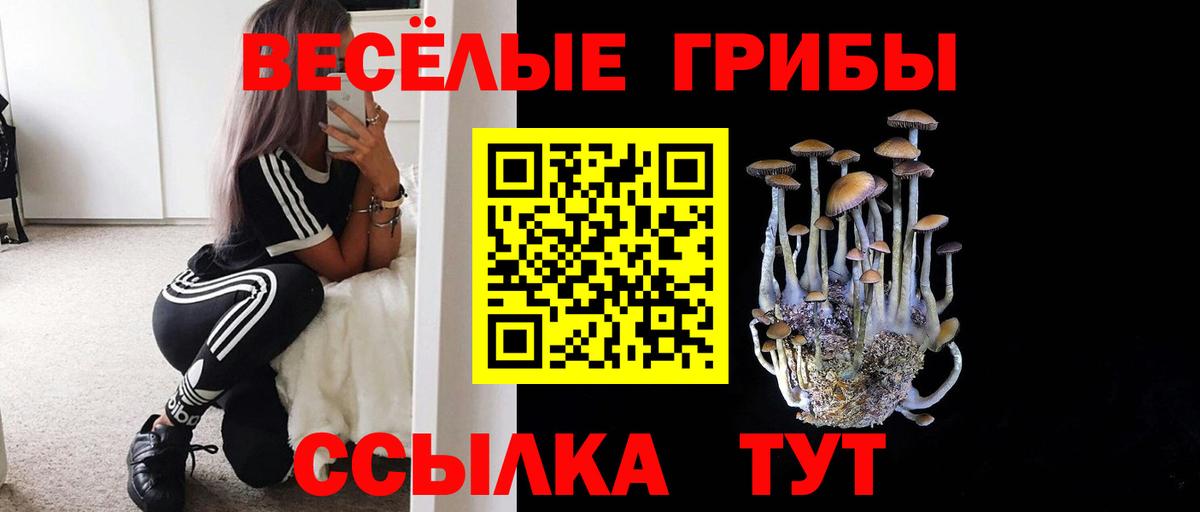 Псилоцибиновые грибы MAGIC MUSHROOMS Реж